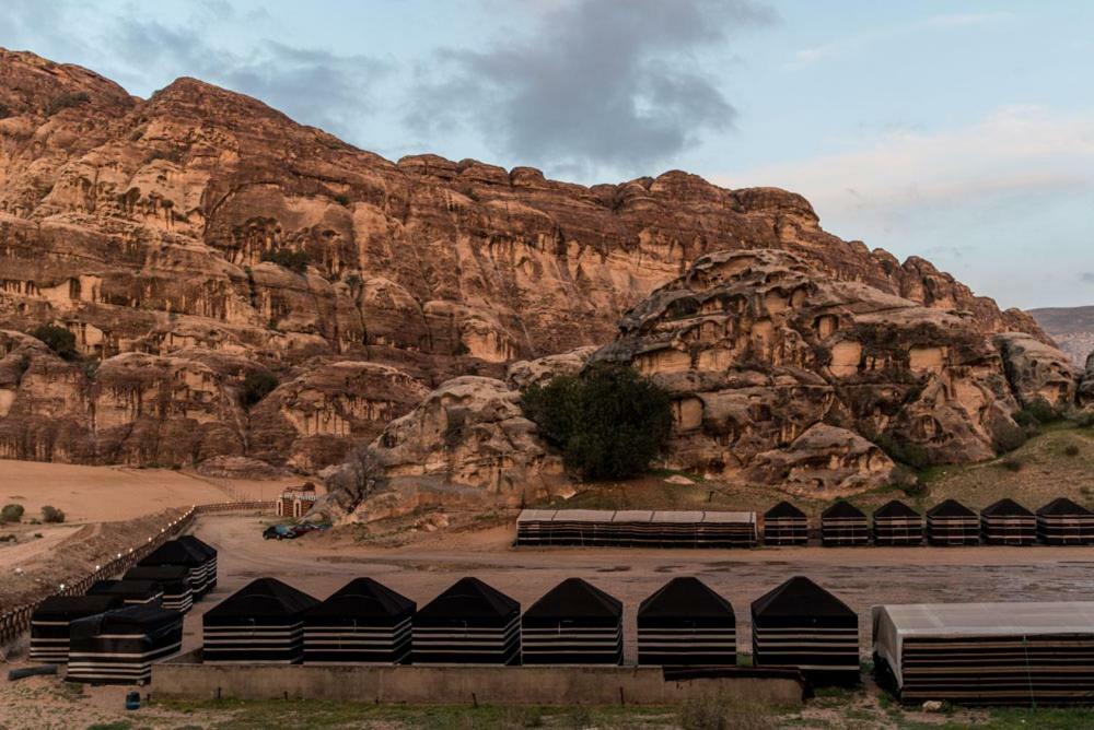 Ammarin Bedouin Camp Hotel Wadi Musa Eksteriør billede